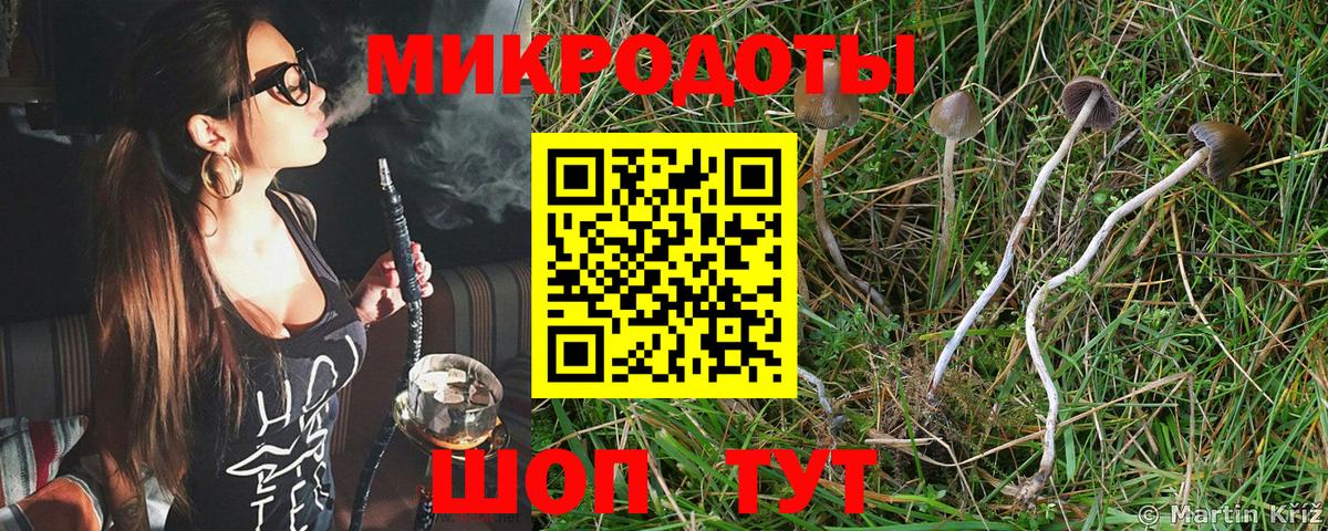 Воскресенск  наркошоп  Галлюциногенные грибы Magic Shrooms  Вход с VPN  Галлюциногенные грибы ЛСД 